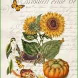 Vorlagen sonnenblumen Basteln 2 Vorlagen sonnenblumen Basteln