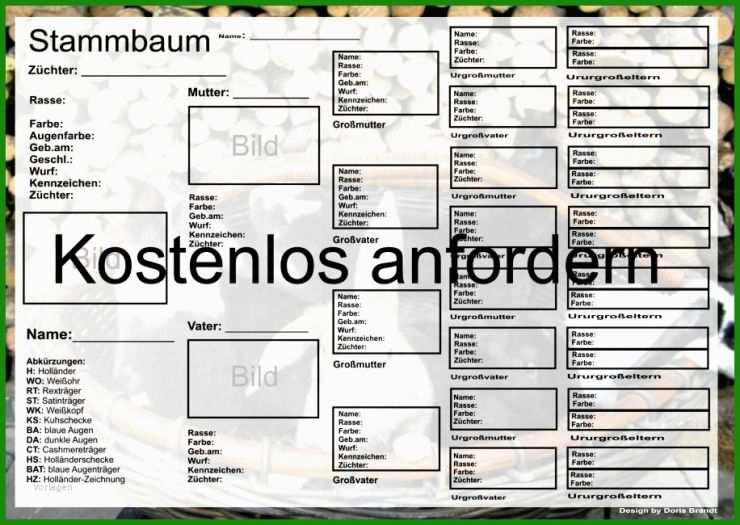 Vorlagen Stammbaum Ausdrucken Kostenlos