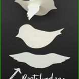 Vorlagen Vögel Basteln