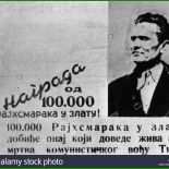 Wanted Brief Vorlage 4 Wanted Brief Vorlage