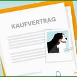 Welpen Kaufvertrag Muster