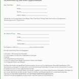 Welpen Kaufvertrag Vorlage