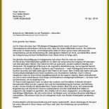 Wissenschaftlicher Bericht Vorlage