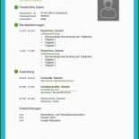 Word Vorlage Steckbrief Download