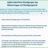 Zeitlich Befristeter Mietvertrag Muster